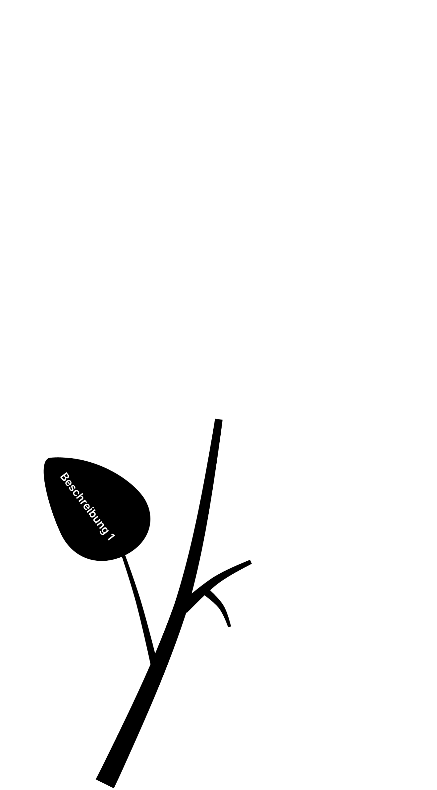Beschreibung 1